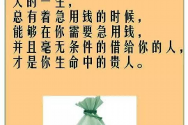 邵东融资清欠服务